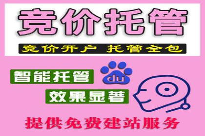 SEM优化师案例：精准定位，实现高效转化